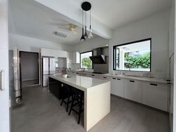 Braddell Heights Estate (D13), Detached #585543891